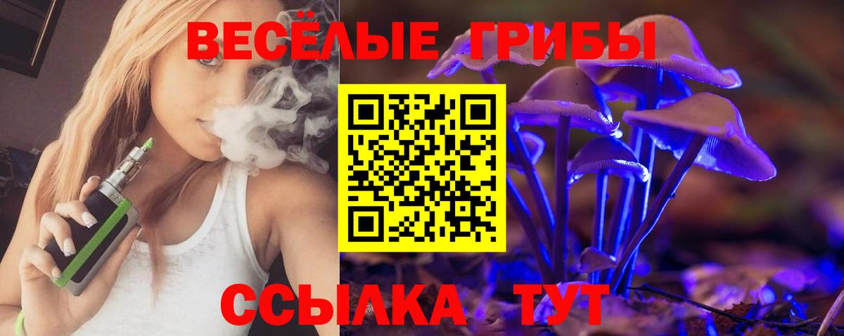 Ижевск  Галлюциногенные грибы Cubensis  Вход с VPN 